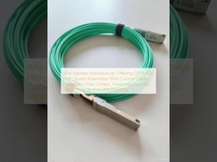 Fabricante de arneses de fio que oferece conjuntos de alta velocidade QSFP-40G com design de cabo personalizado para centros de dados, com integridade de sinal de baixa perda e proteção EMI